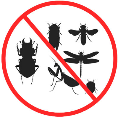 Désinsectisation algérie