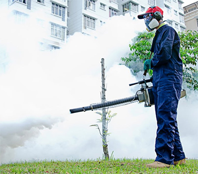 Fumigation Professionnelle en Algérie