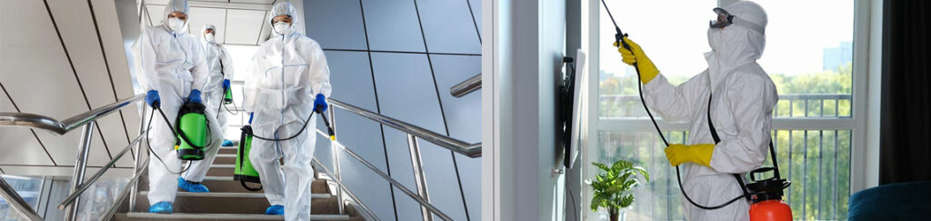 Entreprise d'hygiène antiparasitaire en Algérie